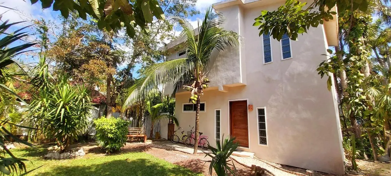 Mini Pini Bird Watching And Cenote Loft Villa Cozumel