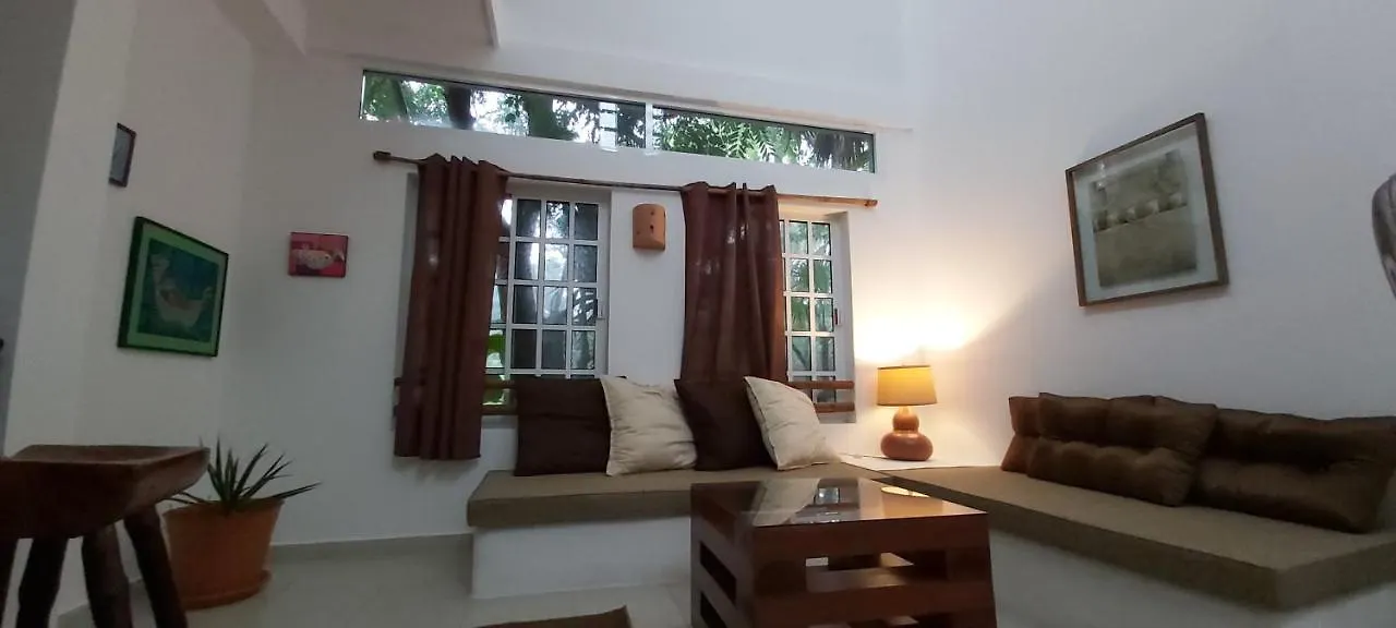 Mini Pini Bird Watching And Cenote Loft Villa Cozumel