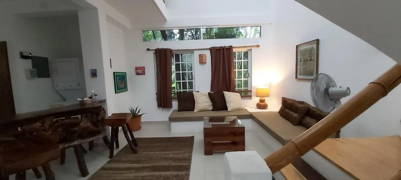 Mini Pini Bird Watching And Cenote Loft Villa Cozumel