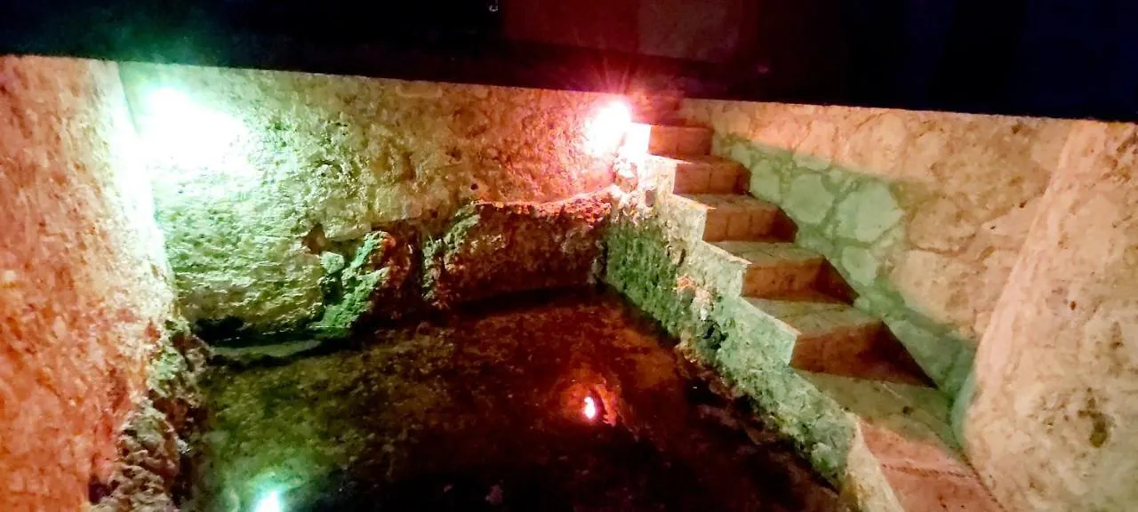 Mini Pini Bird Watching And Cenote Loft Villa Cozumel