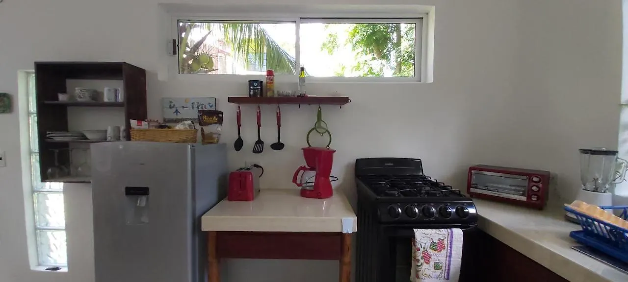 Mini Pini Bird Watching And Cenote Loft Villa Cozumel