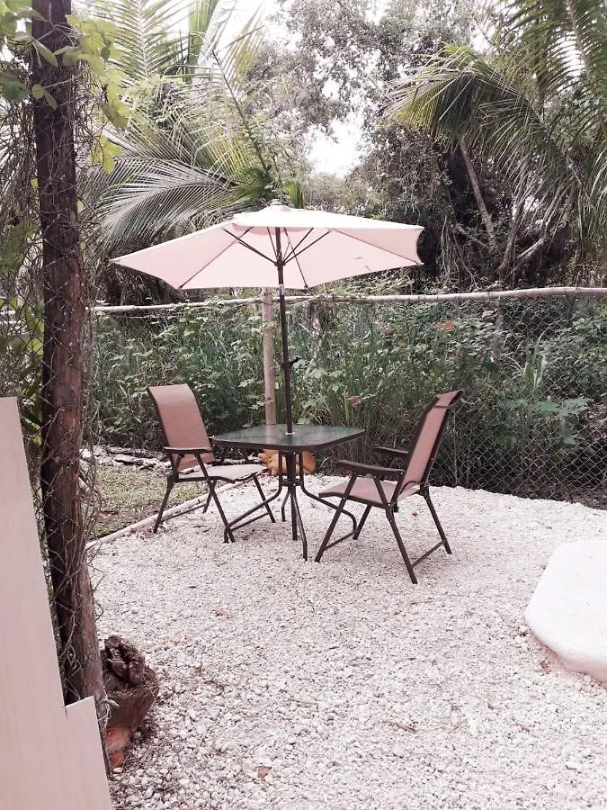 Villa Mini Pini Bird Watching Loft Cozumel