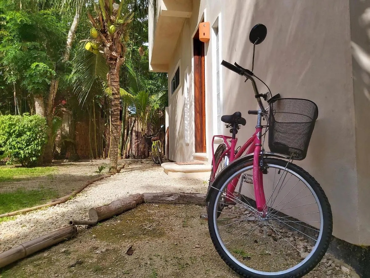 Villa Mini Pini Bird Watching Loft Cozumel Mexiko