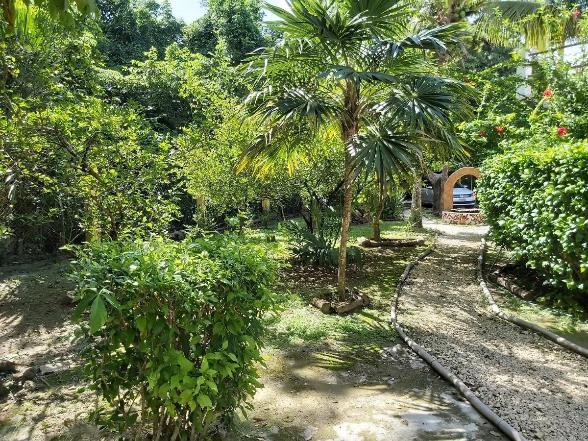 Villa Mini Pini Bird Watching Loft Cozumel