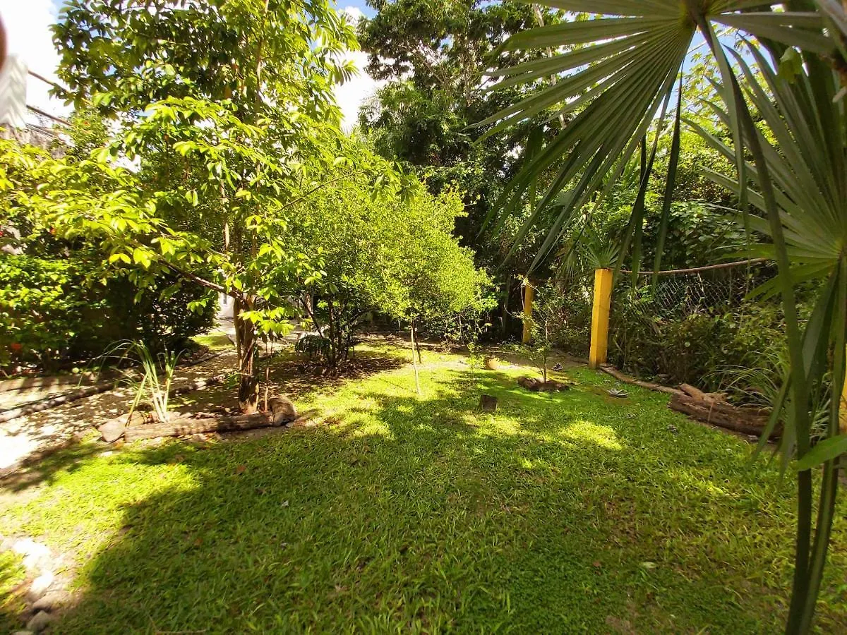 Villa Mini Pini Bird Watching Loft Cozumel Mexiko